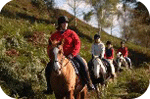 Horse Riding in Cardiff | Horse Riding Wales | Horse Riding Brecon Beacons