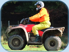 Honda 250 Quad Bike