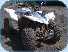 Honda 250 Quad Bike